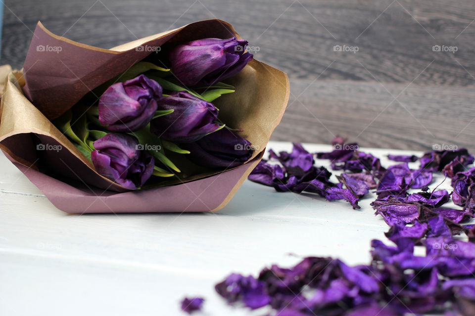 A bouquet of tulips and purple rose petals: congratulations, March 8 (International Women's Day), February 14th (Valentine's Day), holiday