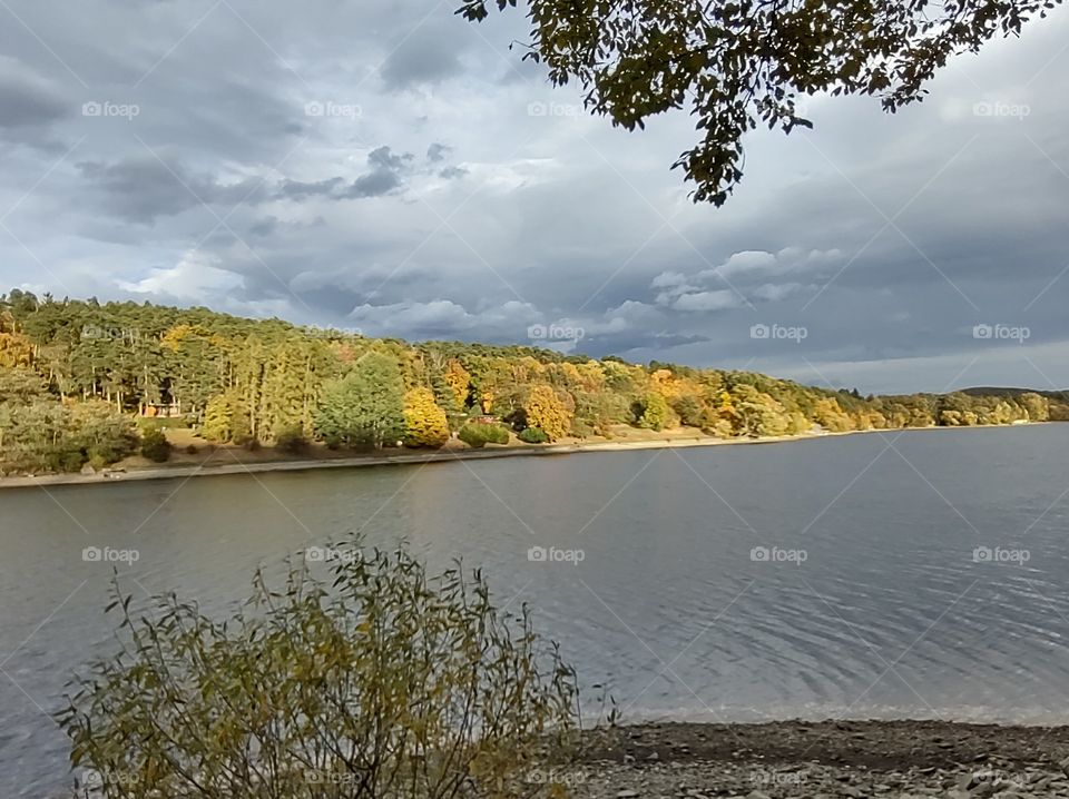 autumn nature photography