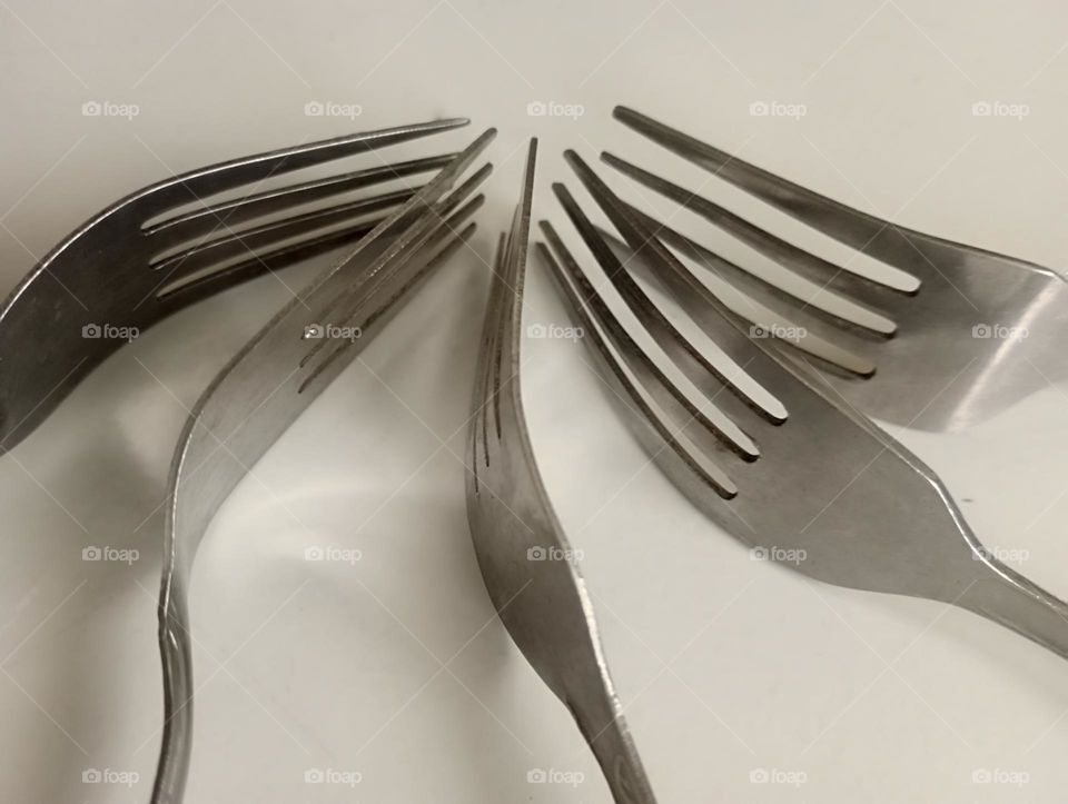 Forks