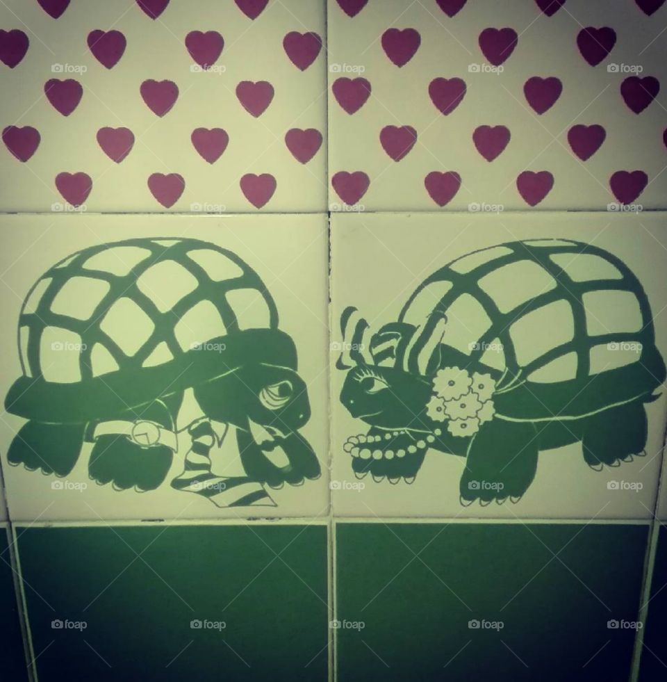 Turtle love