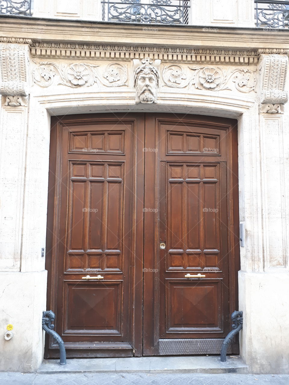 Wooden brown vintage entrance door