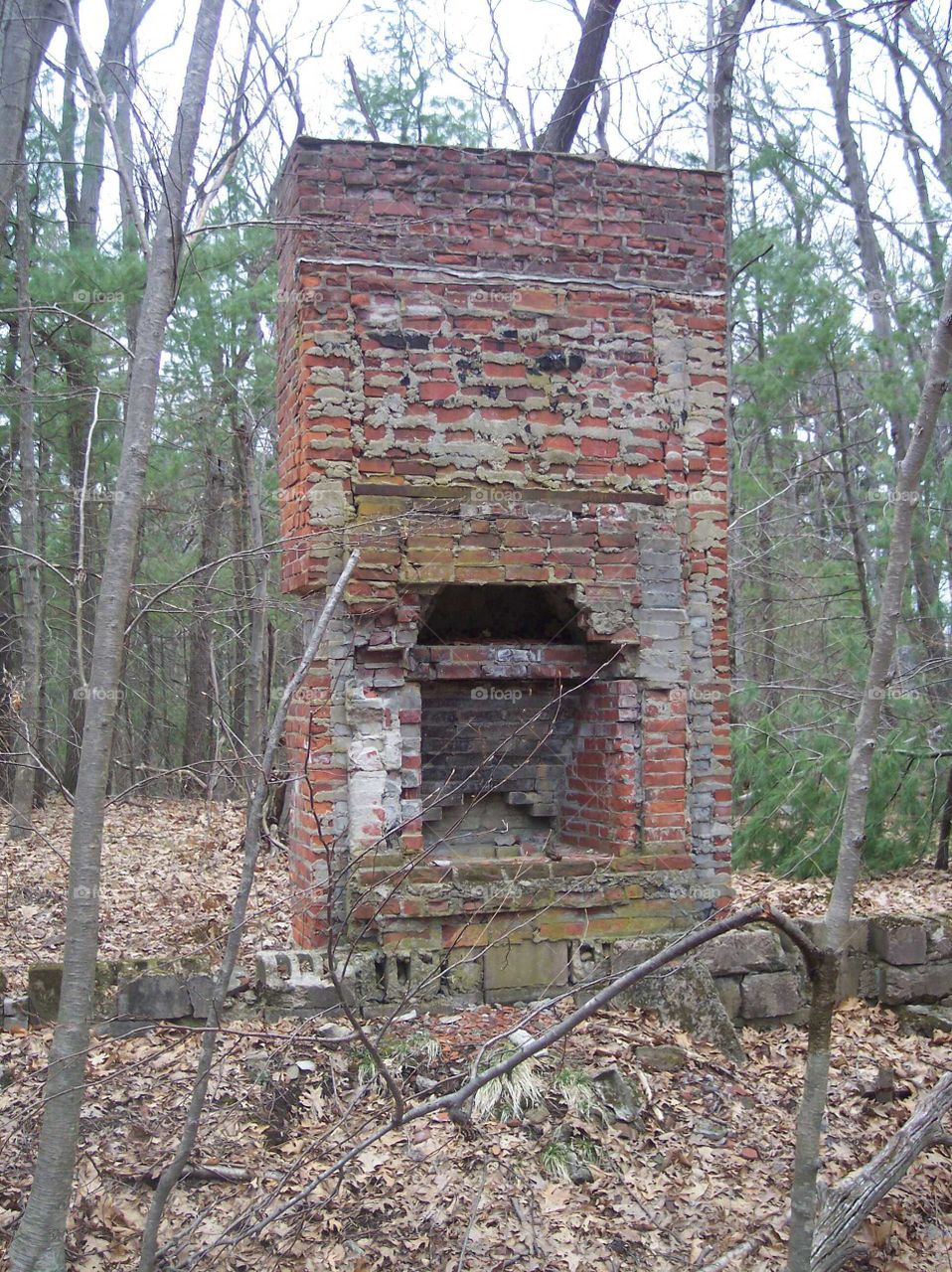 Abandoned brick wall in forest