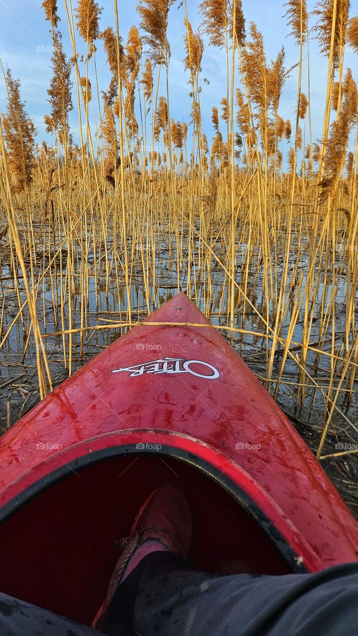kayak in the reeds