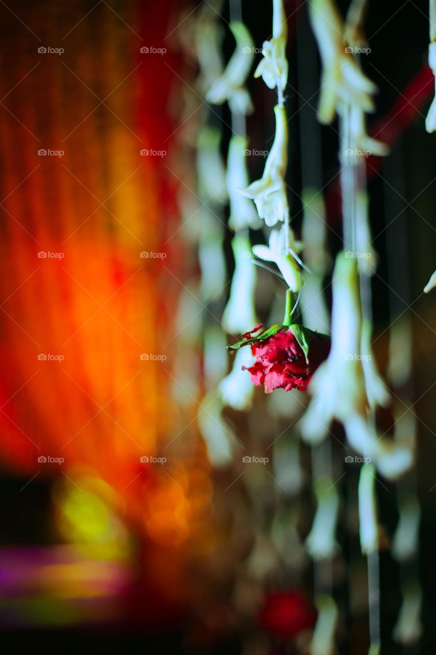 A home Indian function click