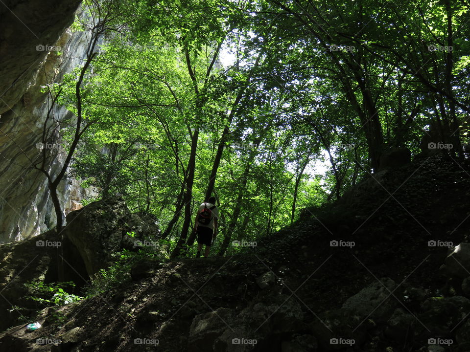 Dense Forest hiking even the longest journey starts with first Step. Enjoy journey there are endless points between A and B