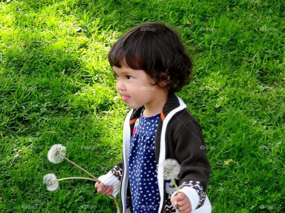 Little girl with Dandelions