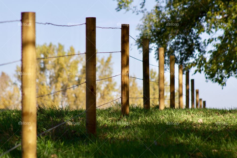 Angled view of a wooden post and wire fence around a pasture in autumn