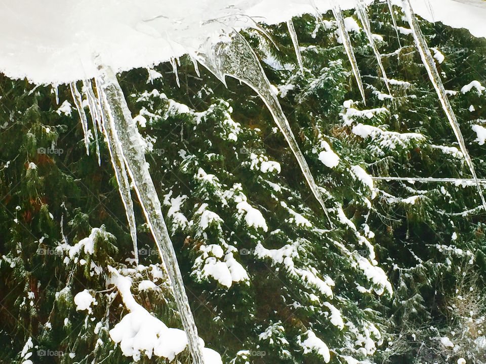 Jagged Icicles