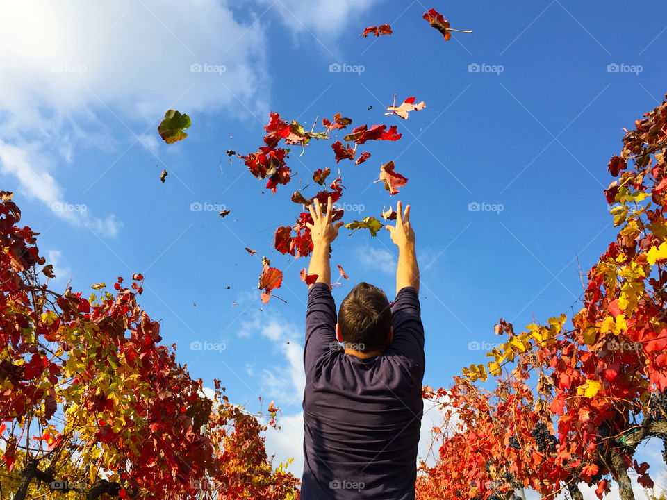 Rainy of leaves on me.
All around autumn colors