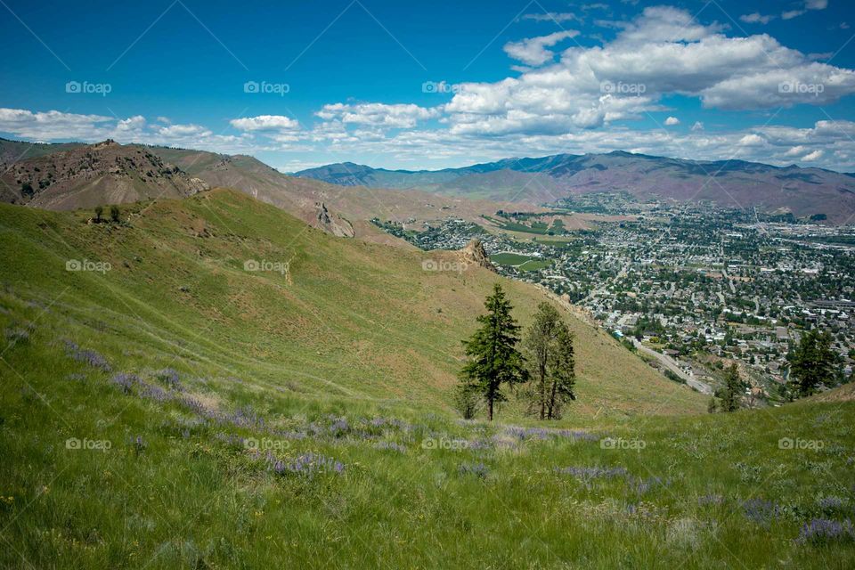 Hike along the grassy hillside