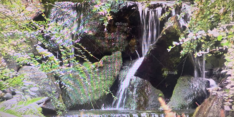 The clear water flowing in the mountain stream