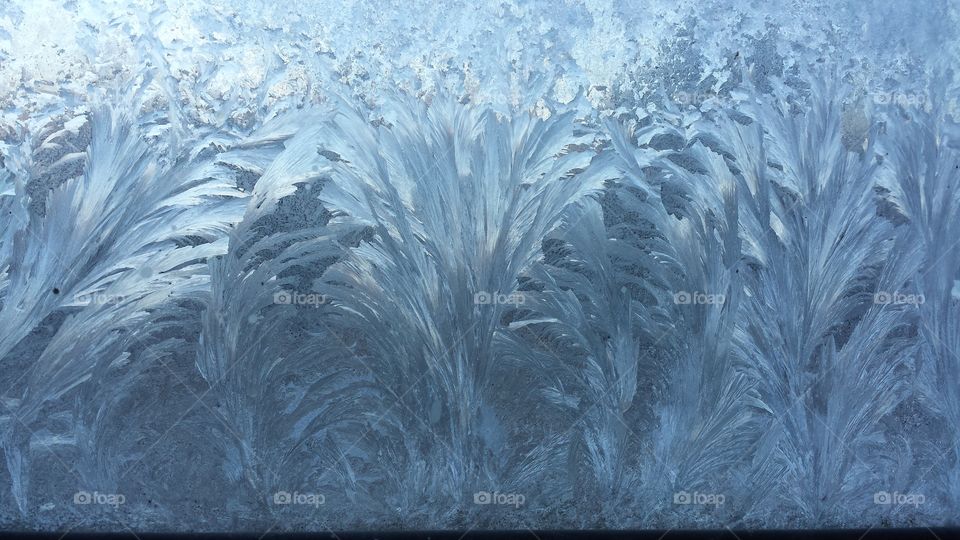 Icy Window. My kitchen window on a cold day