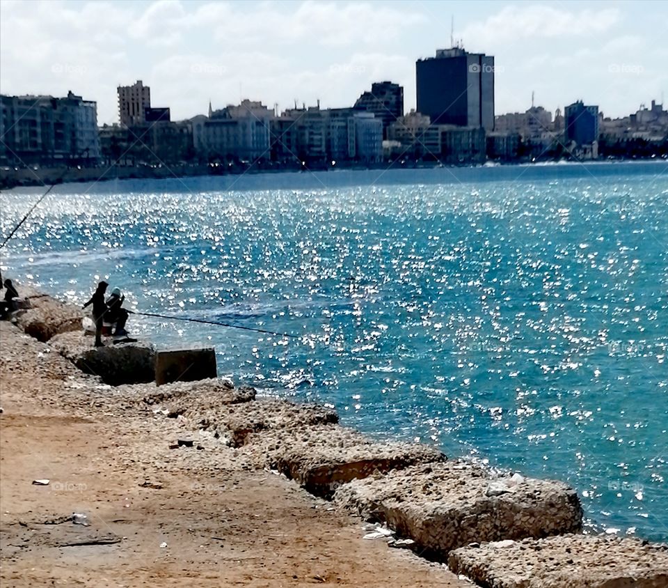 Some men practice a hobby fishing on the beautiful sea of Alexandria with the view of residential buildings