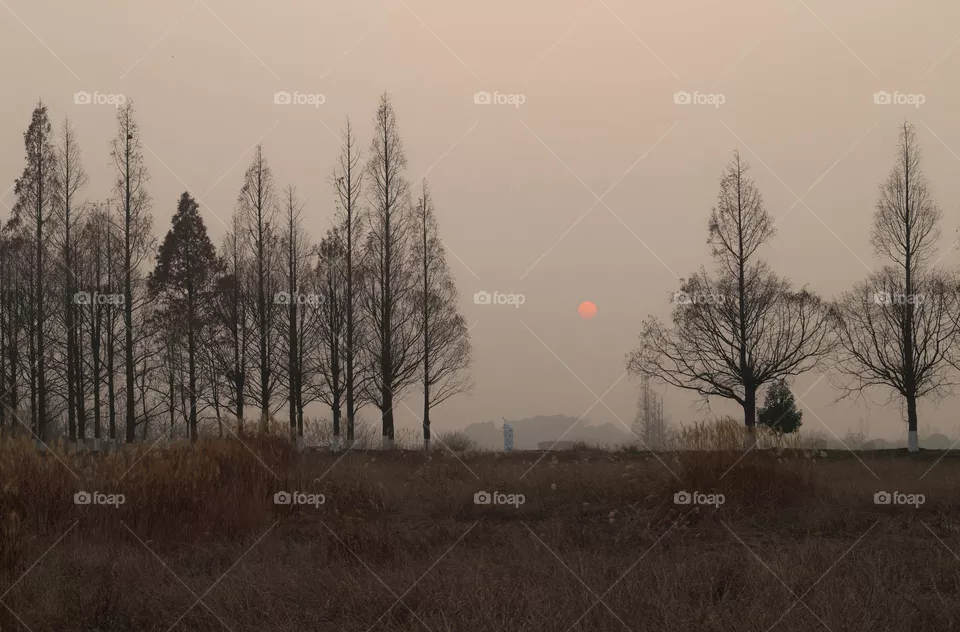 夕阳西下
