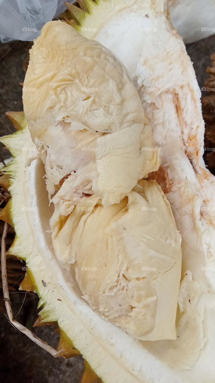 Education Photo Or Image Or Background About One Of The Inner Shapes Of The Durian Fruit