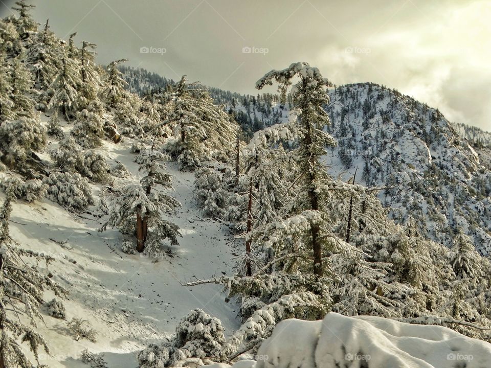 Snowy Mountain Peak
