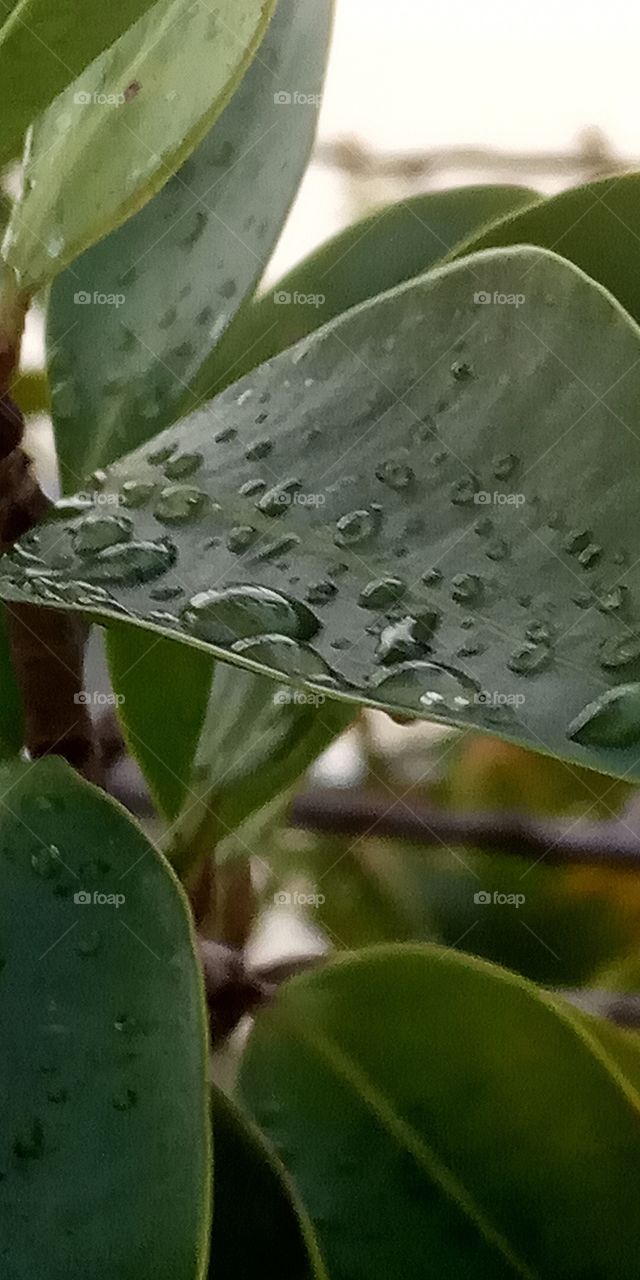 After raining