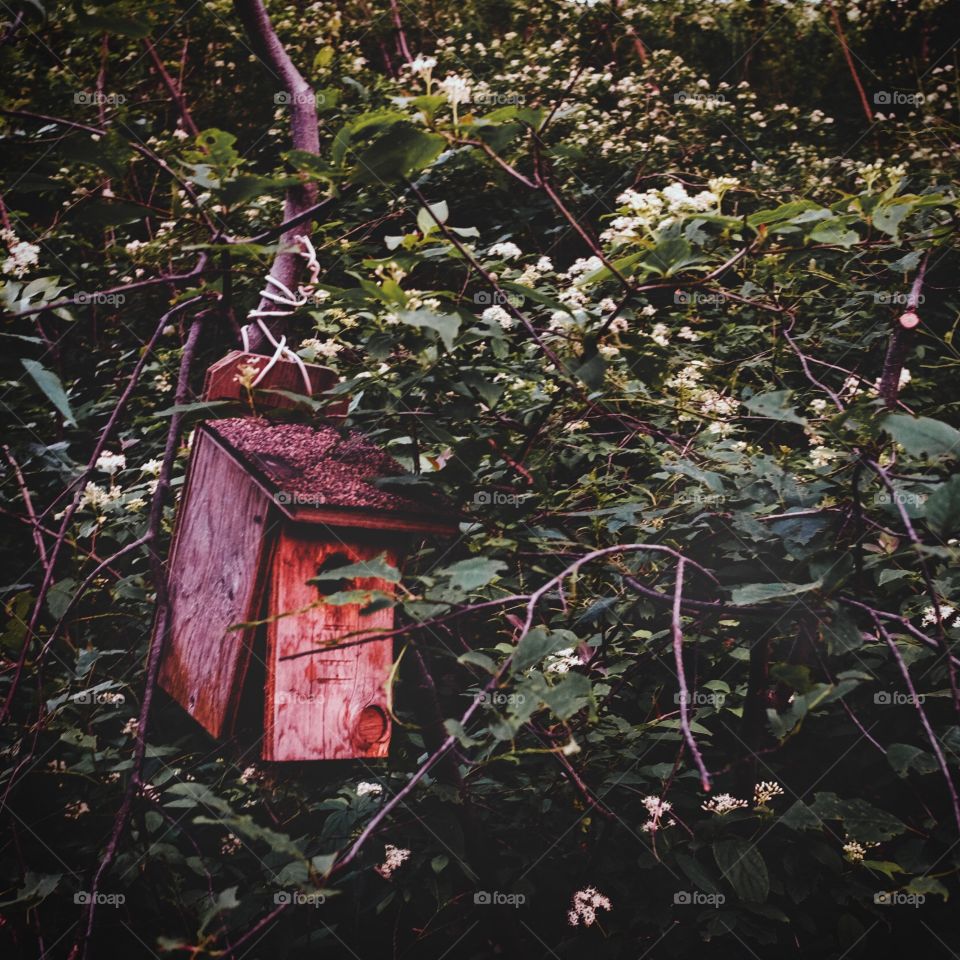 Destroyed bird house
