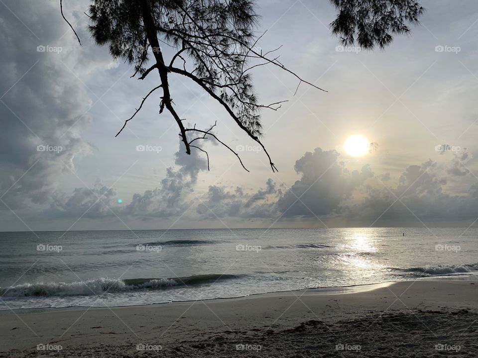 Afternoon at the beach