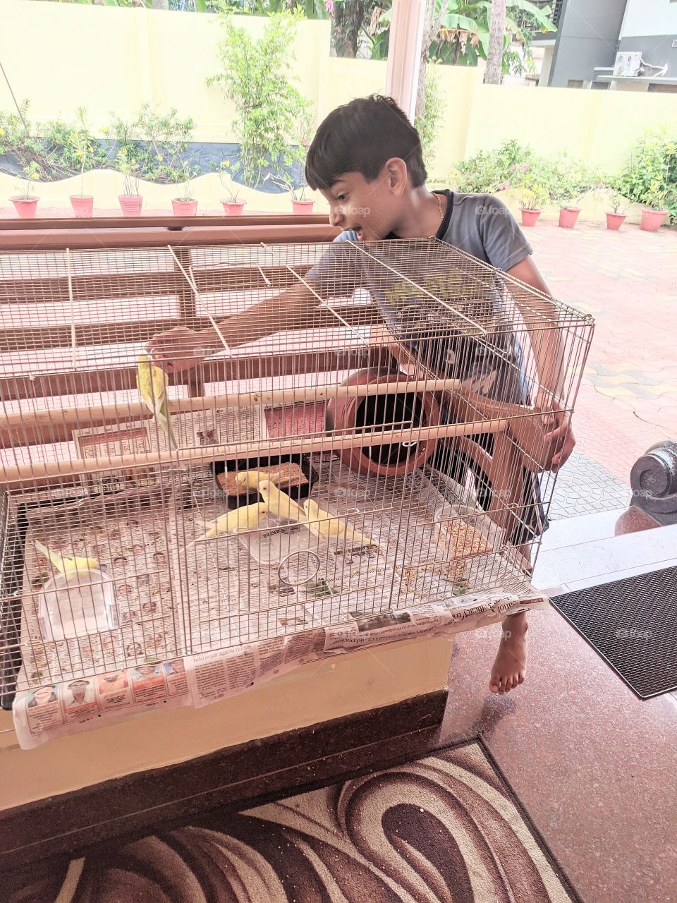 Love Birds 💗 Nature is more beautiful when it's covered with colourful birds especially if it's Love Birds 💗