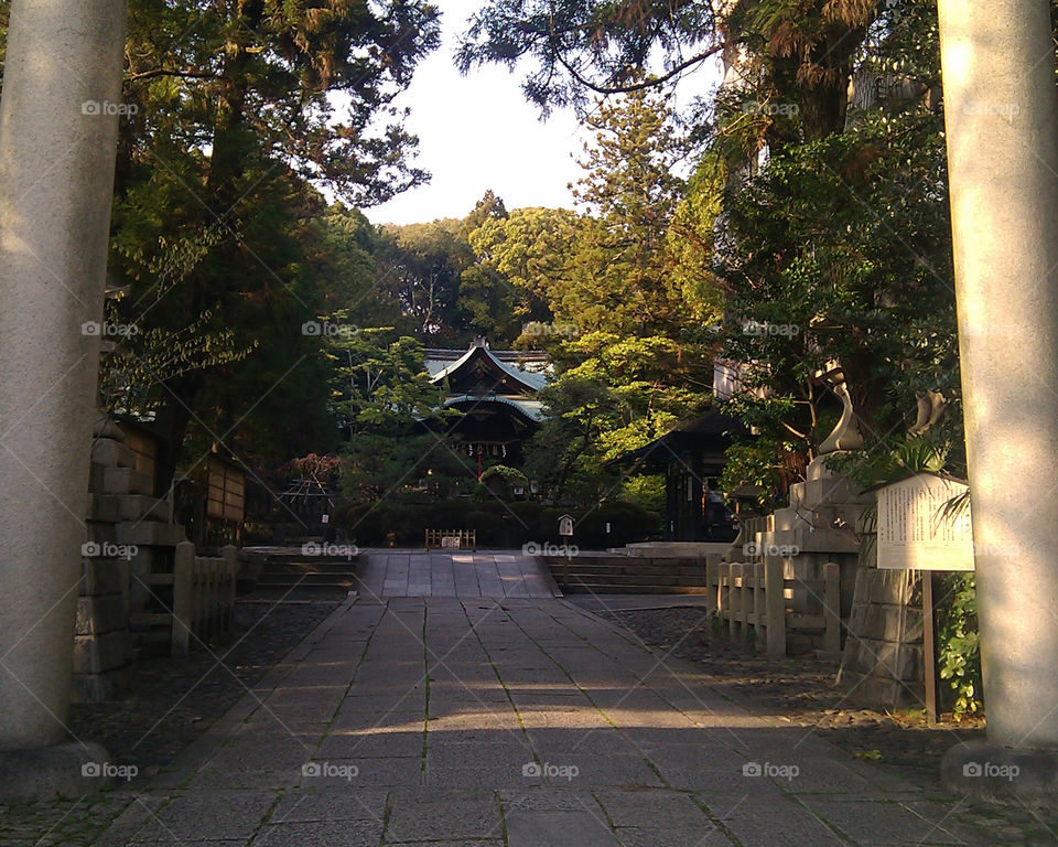 Eastern Contemplation