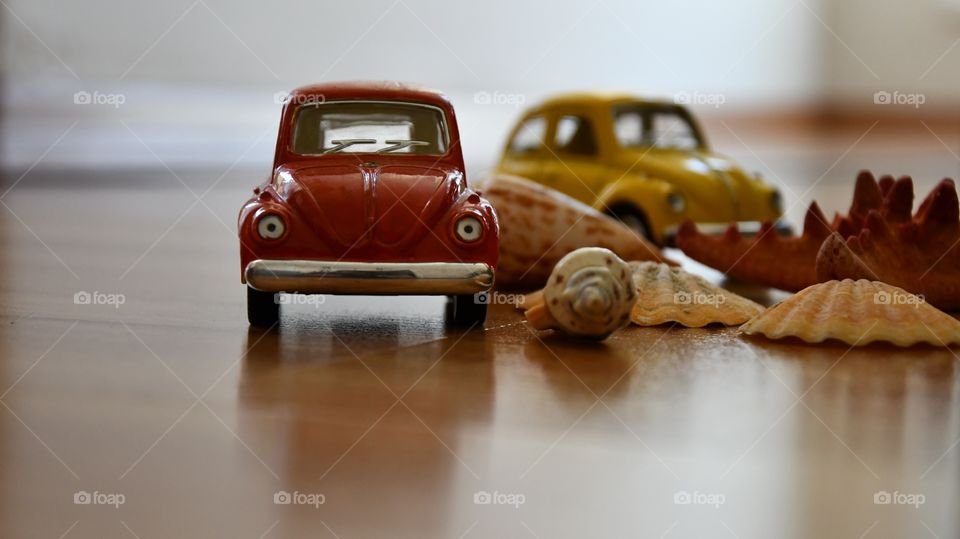 cars among sea shells