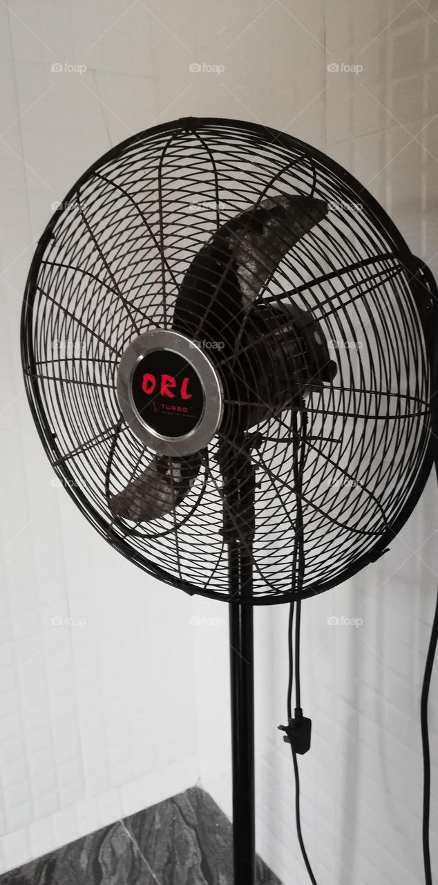 Just in love with fan