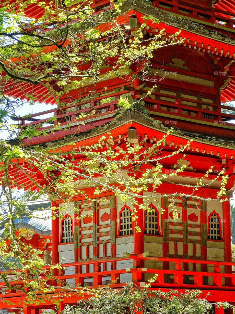 Japanese Shinto Shrine. Brilliant Red And Gold Japanese Pagoda
