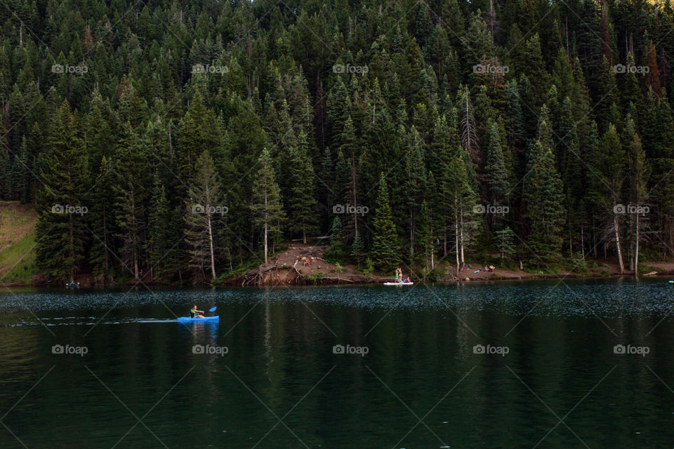 Kayaking on a reservoir in the canyon against a forest of trees. 