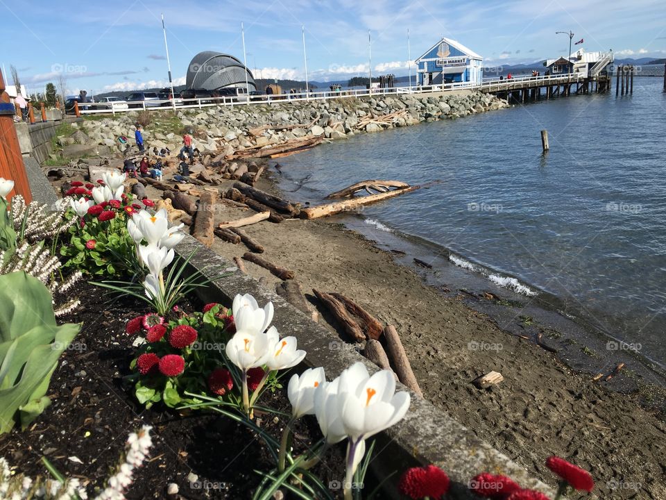 Flowers and people out on the beach - spring is here