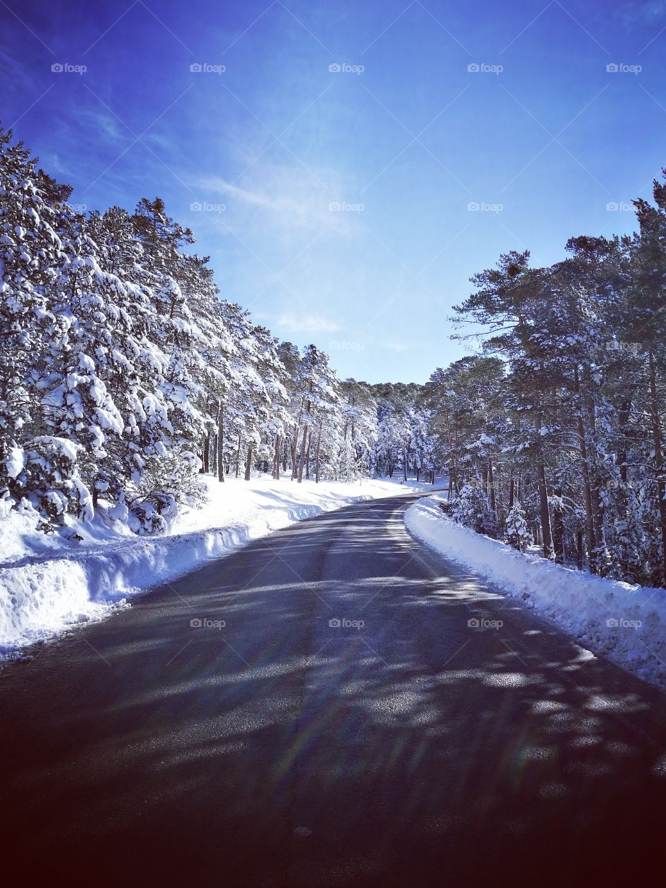 winter road