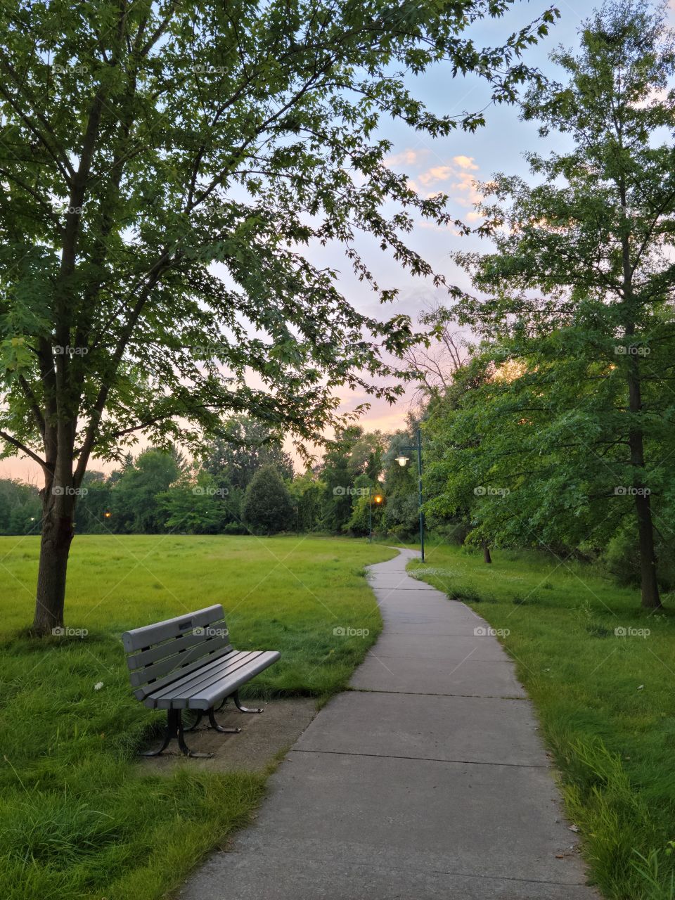 An Evening Walk in the Park