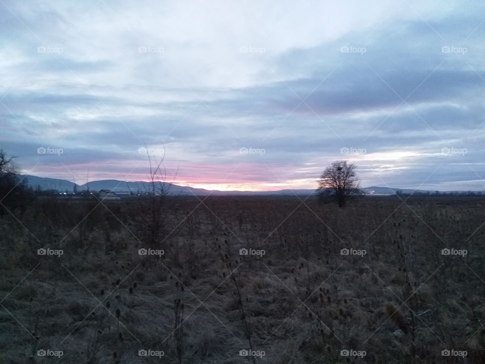 Sunset In The Fields