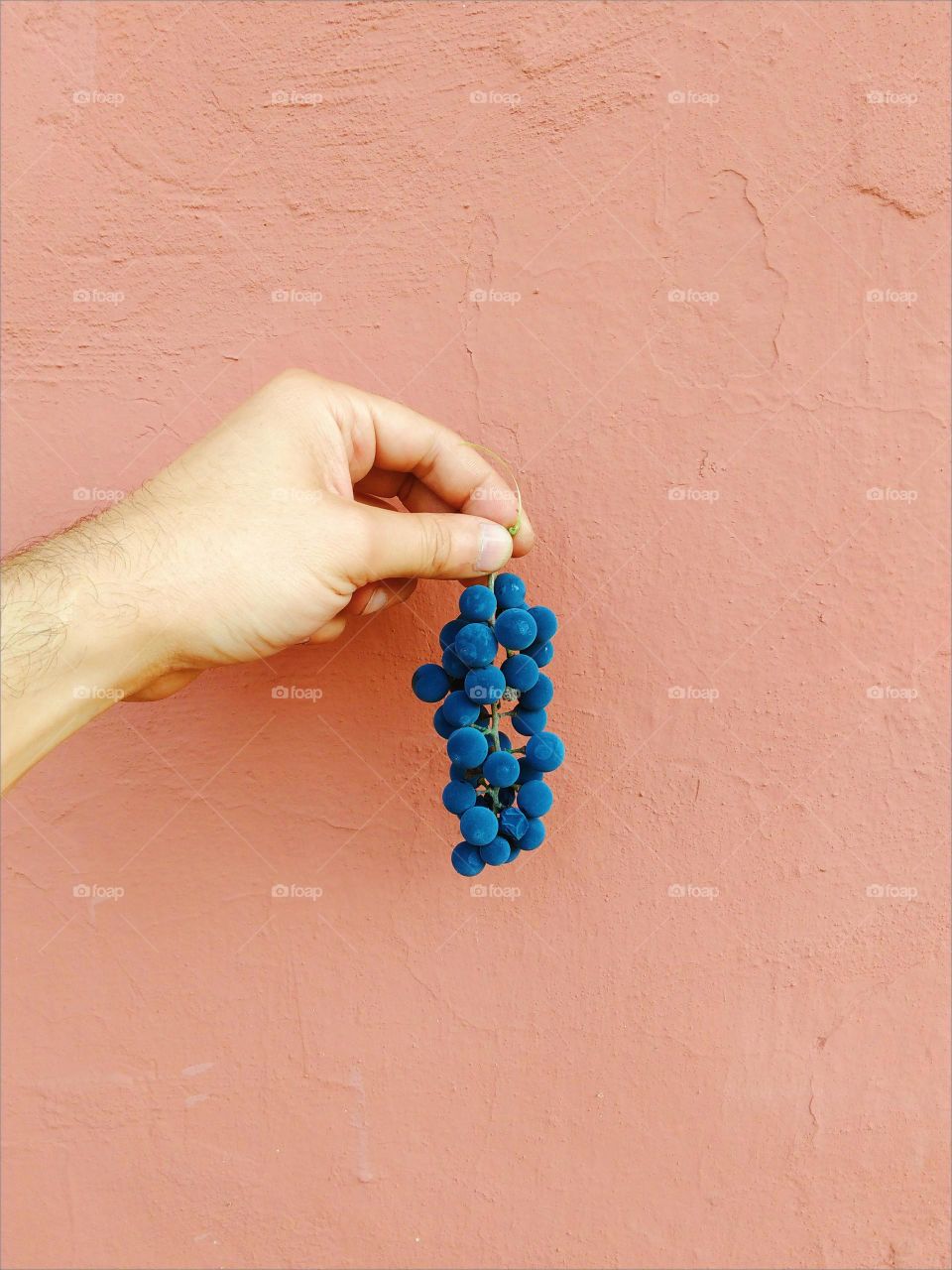 A bunch of grapes against wall