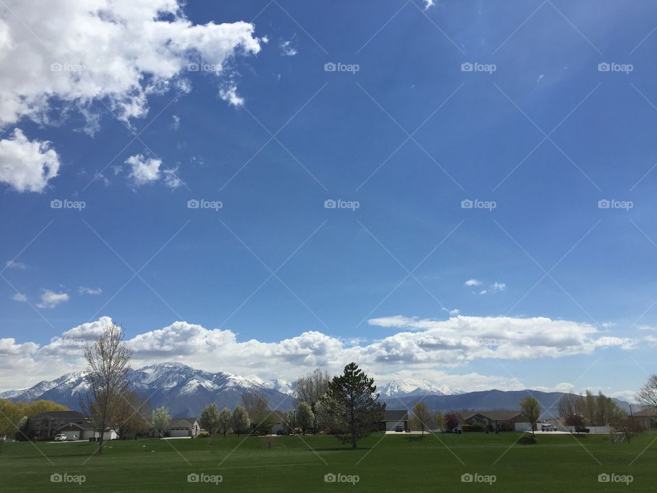 Blue Sky and Green Grass 