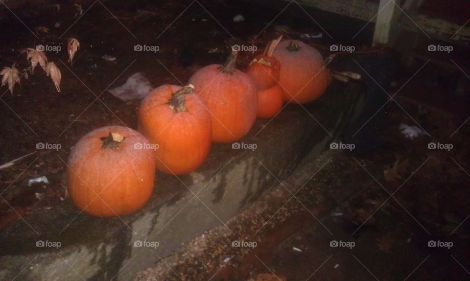 Frosty pumpkin