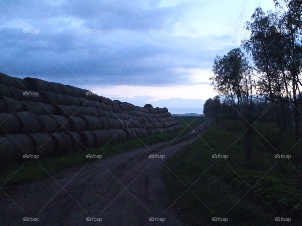 Vanishing in the night 