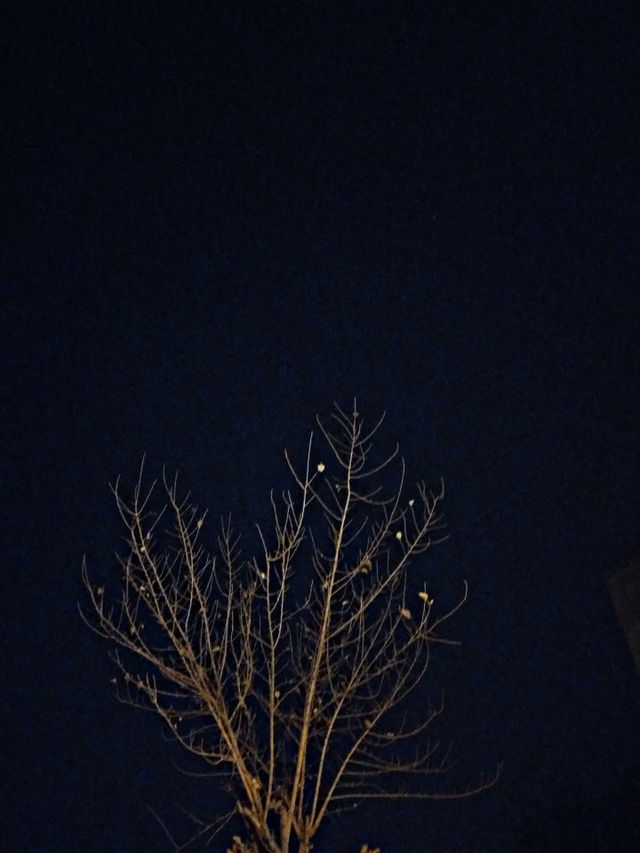Night view