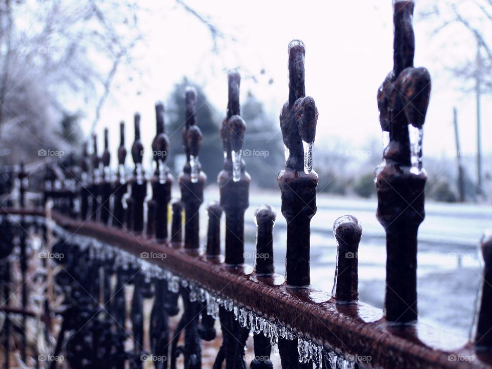Icy Fence. My wrought iron fence after an ice storm. 