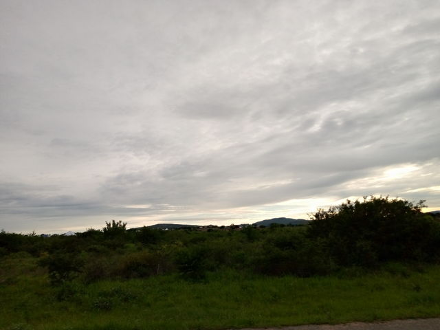 Green and Sky
