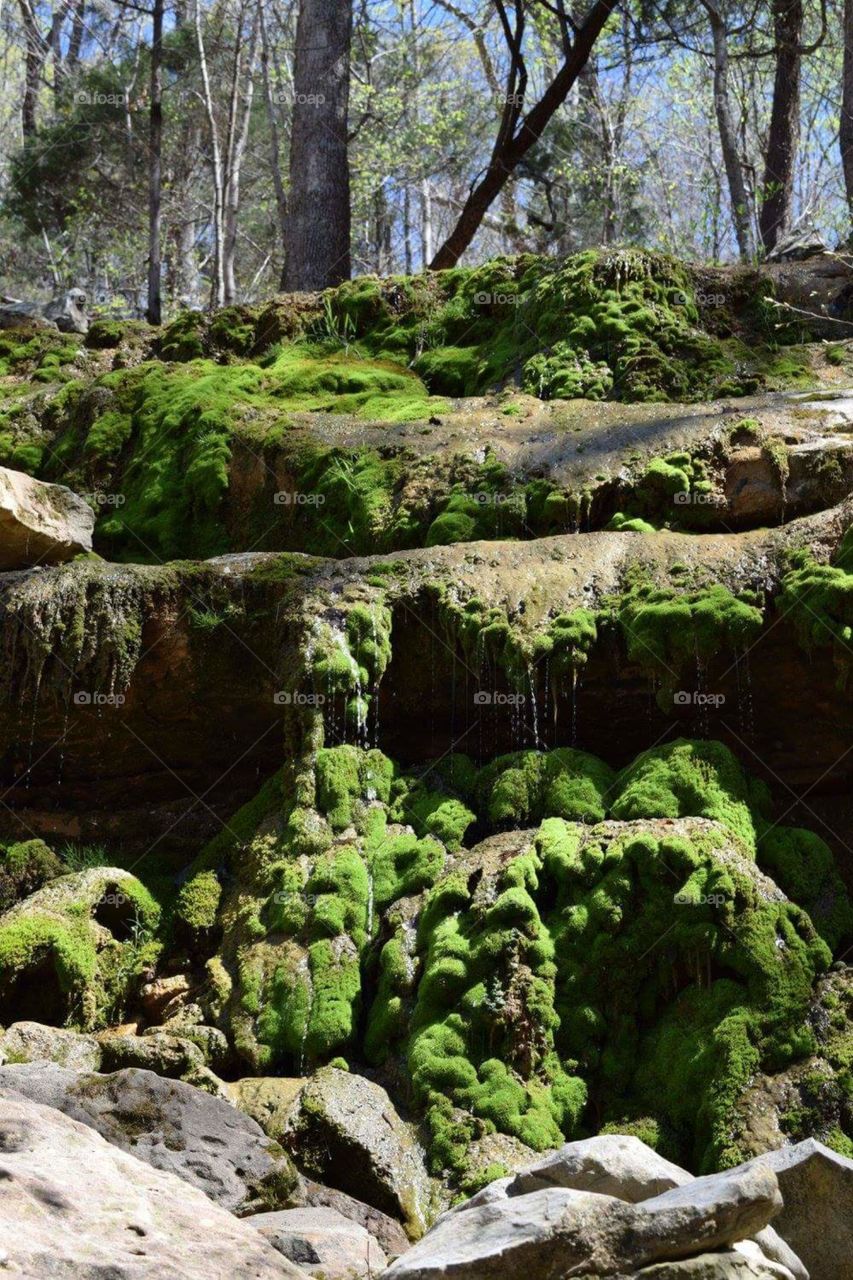 Water trickling over mossy stone