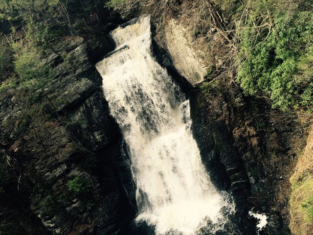 Bushkill