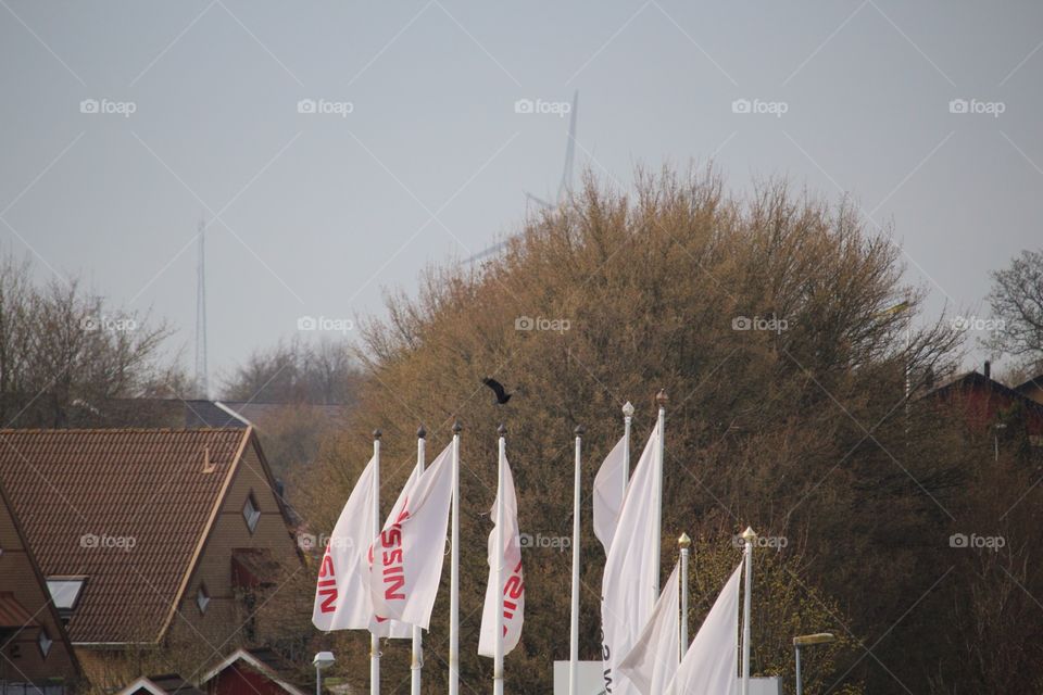 Flags 