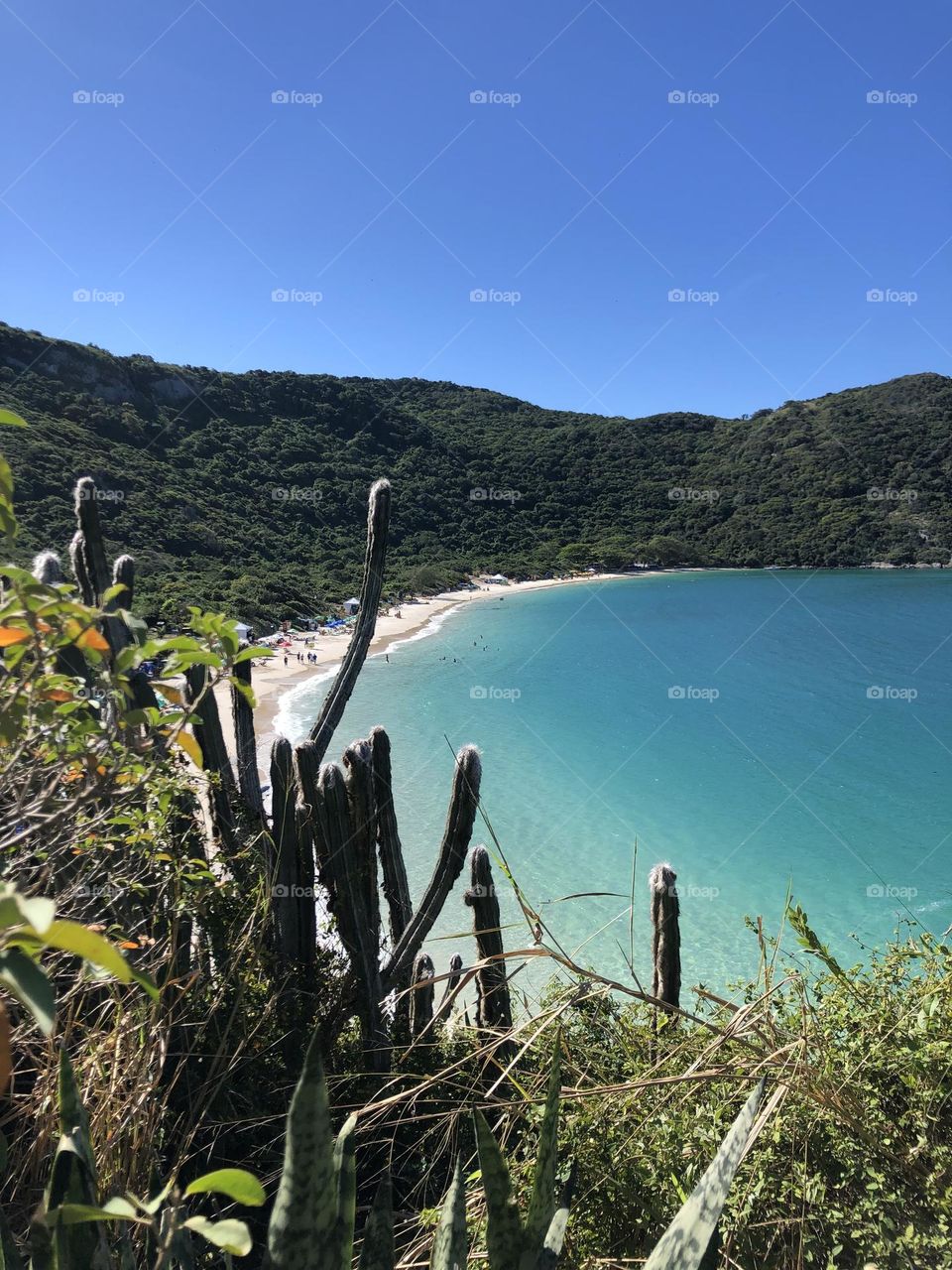 Praia do forno. Arraial do cabo. RJ. Brasil. 