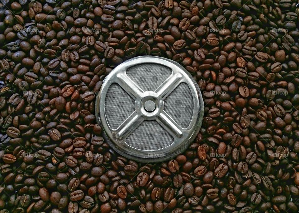 French Press Screen Sitting on Coffee Beans