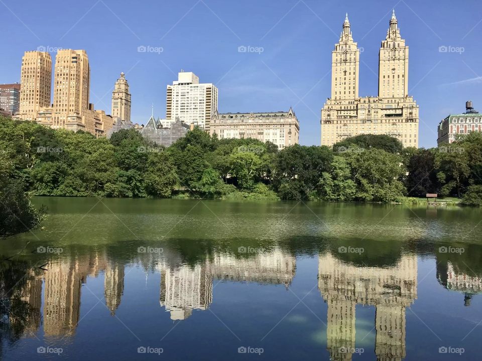 NYC    Central Park 