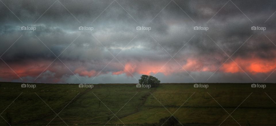 Scenics view of nature