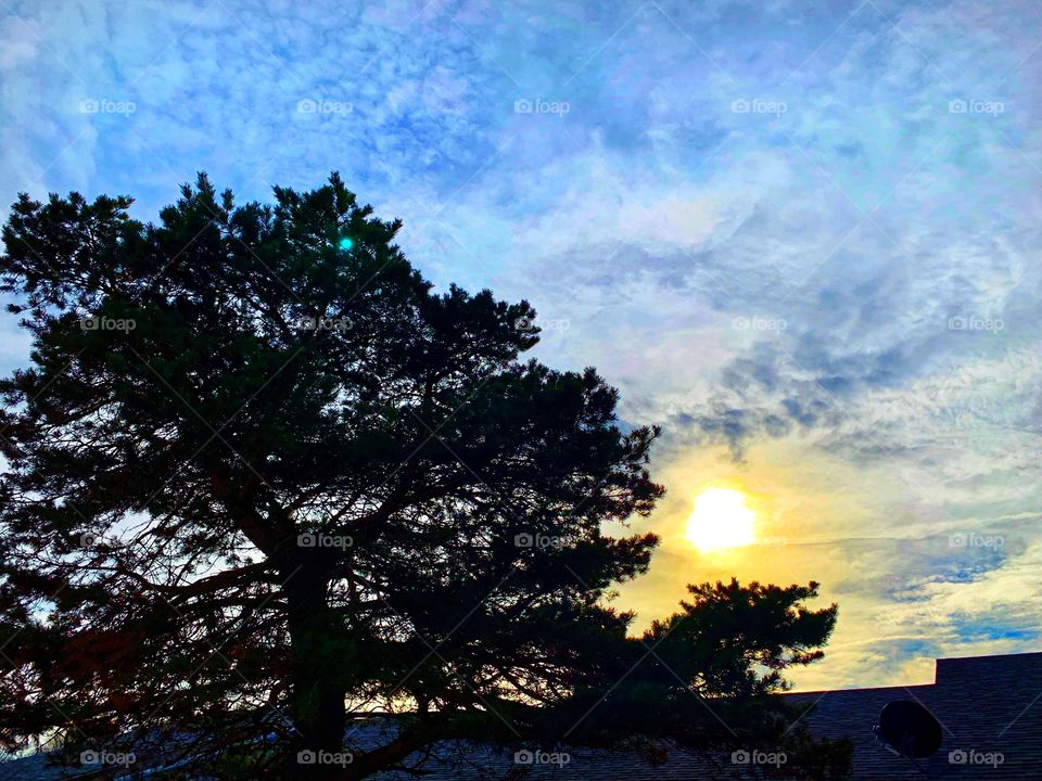 Beautiful sky and the sun and clouds at sunset with a tree in Indiana 