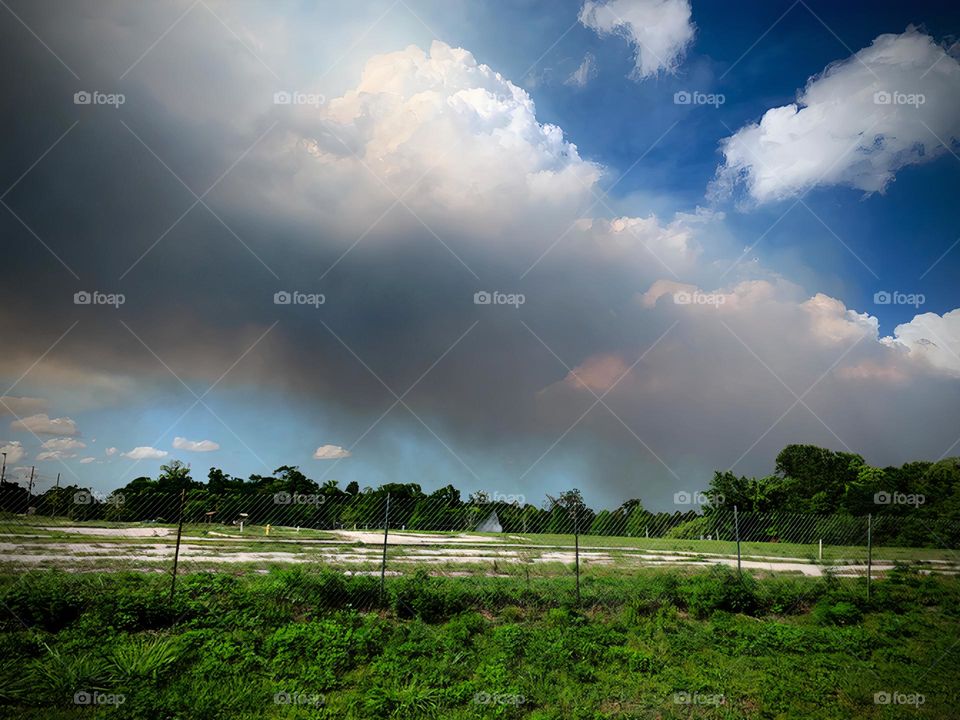 Fire Clouds Noticed Behind The Forest Trees That Created Suspicions Of Possible Danger And Destruction With Spread And Unusual Clouds Formation Of Orange, Grey And Dark Color From Dense Smoke. 