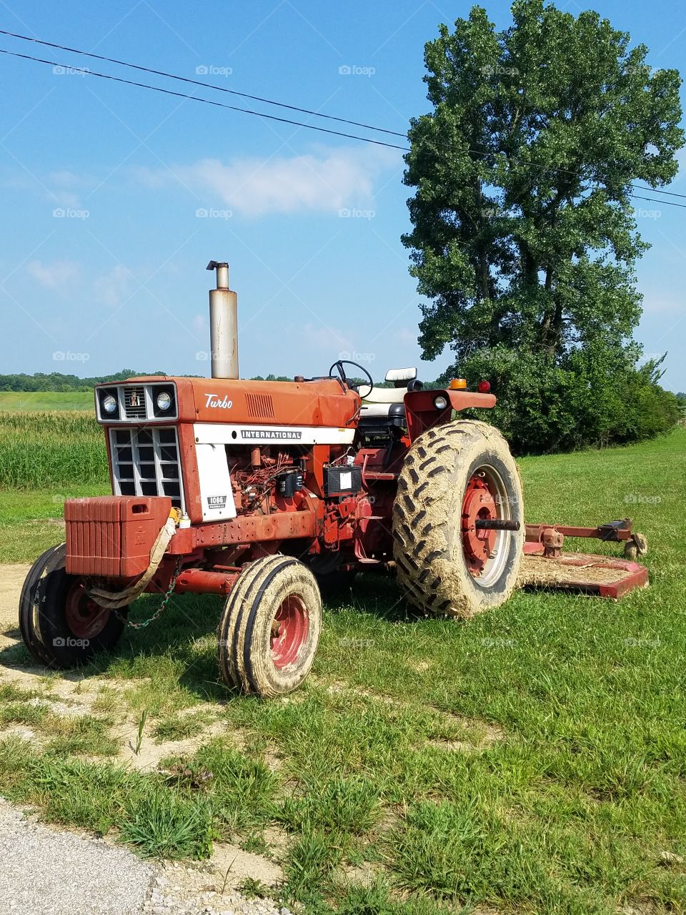 red tractor in country setting